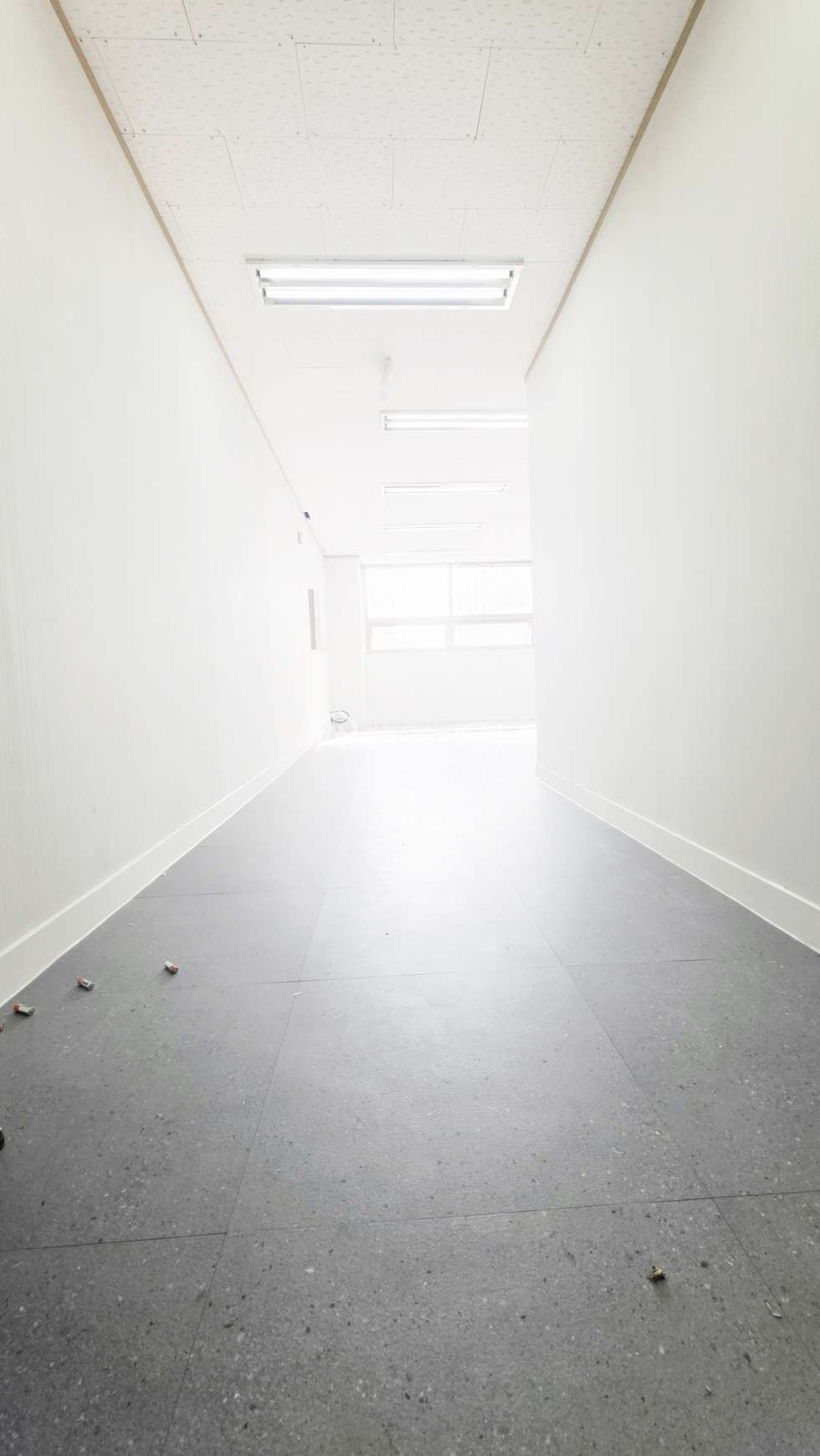 충남 천안서북구 두정동 1동 테라스 애견호텔, 애견유치원,사무실,스튜디오,댄스 월세 매물번호 10015 사진 3