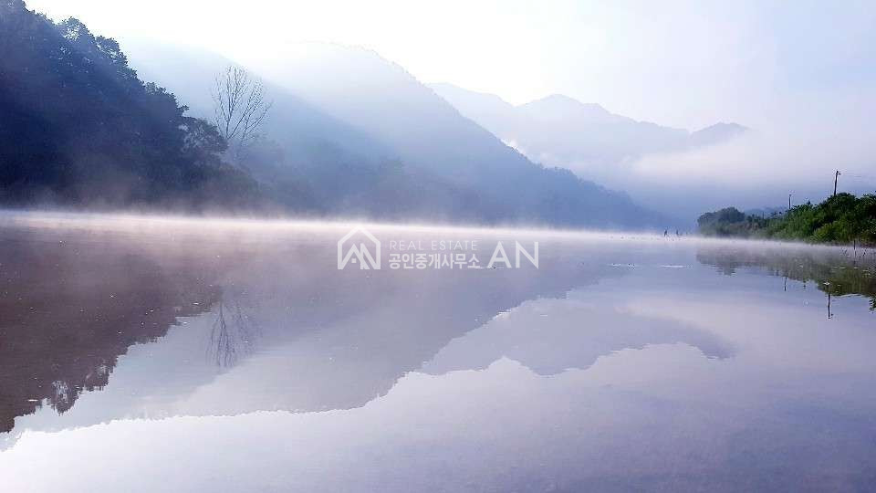충북 괴산군 청천면 운교리 o 정말이쁜토지 낚시가능 힐링형 쉼터 o 매매 매물번호 10444 사진 2