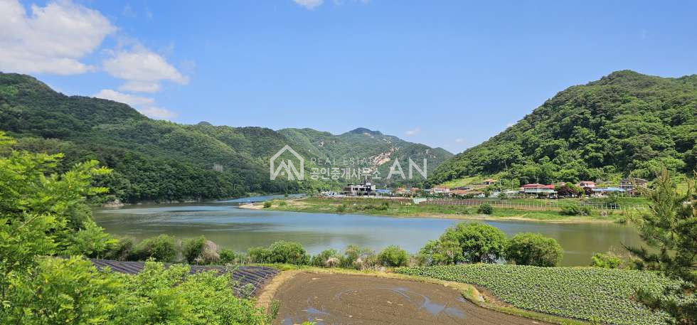 충북 괴산군 청천면 운교리 o 정말이쁜토지 낚시가능 힐링형 쉼터 o 매매 매물번호 10444 사진 5